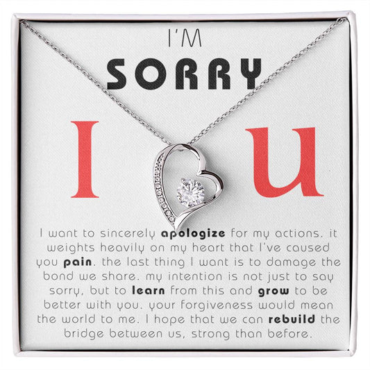 I'm Sorry, Makeup Necklace, Apology Gift, Forgiveness Necklace, I'm sorry necklace, im sorry gift, apology gift for her