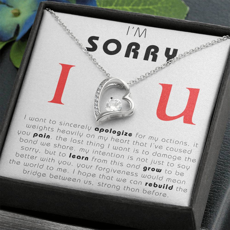 I'm Sorry, Makeup Necklace, Apology Gift, Forgiveness Necklace, I'm sorry necklace, im sorry gift, apology gift for her